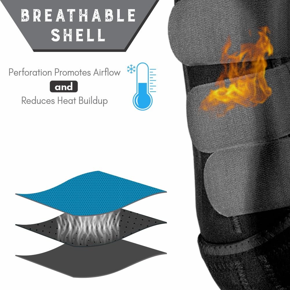 HILASON Horse Front Leg Neoprene Sport Boot Superior Protective & Shock Absorbing Comfortable Fit Breathable Design